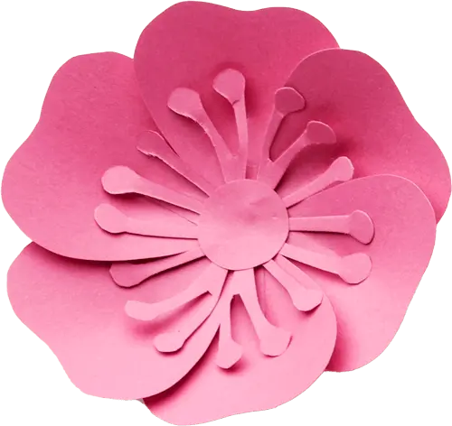 paper flower 1